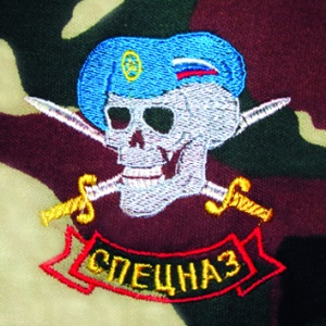 Ф-5-25 Футболка с вышивкой на груди Спецназ (Череп гол берет) "Цифра" 