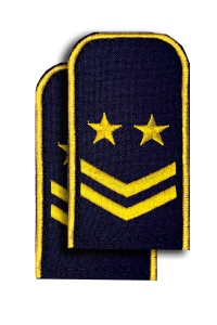 Погоны РЖД синие(2 лычк+2зв.)РЖД 4-10