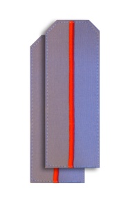 ПОГ-65-2 Погоны МВД из рубашечной ткани серо-голубые с 1 вышитым красным просветом на рубашку 