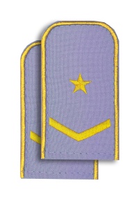 Погоны РЖД голуб(1 лычк+1зв.)РЖД 5-5