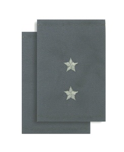 МФ-4-6 муфты серые полев прапорщик