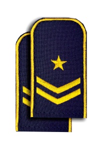 Погоны РЖД синие(2 лычк+1зв.)РЖД 4-9
