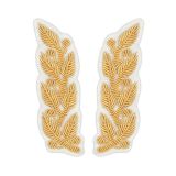 09020014 Орнамент на ворот канит (зол 3%) Росприроднадзор (бел фон)