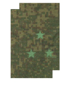 МФ-17-9 муфты кмф цифра полев ст лейтенант