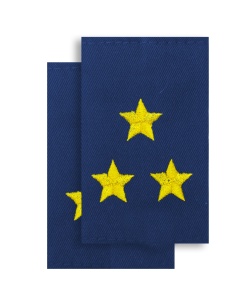 МФ-14-13 муфты синие зол полковник