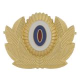 07010045 Кокарда мет МЧС н/о (без розы ветров) бол зол