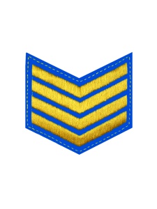 курсовка выш 4 курс голубая 12-11