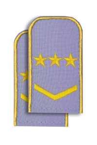 Погоны РЖД голуб(3зв+1л.)РЖД 5-7