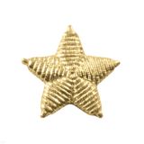 08040015 Звезда пласт 22 (25) мм (генер) СА (рифл) зол 