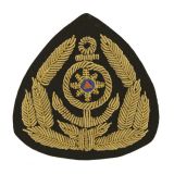 09010048 Кокарда канит лат ГИМС (аналог НОВ-663) с цв вставкой