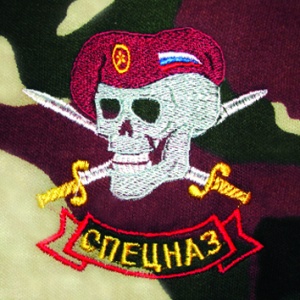 Ф-5-24 Футболка с вышивкой на груди Спецназ (Череп крап берет) "Цифра" 