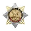 20 25 0149 Значок мет. Орден-звезда Украина Инженерные войска 
