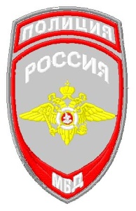 4-27 шевр.выш. Полиция (орел) Общий св. серая ткань 