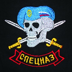 Ф-5-29 Футболка с вышивкой на груди Спецназ (череп в голубом берете) черн.