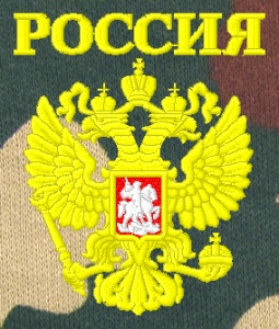 Ф-7-31(2) Футболка с вышивкой на груди Россия (орел) "Цифра" 