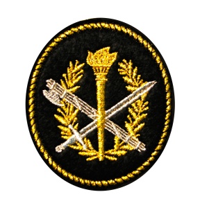 10-40 шевр выш Образ.ФСИН (овал факел)