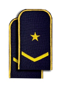 Погоны РЖД синие(1 лычк+1зв.)РЖД 4-5