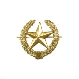 07030106 Эмбл мет Сухоп войска с/о зол 