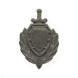 08030048 Эмбл пласт МВД защ 