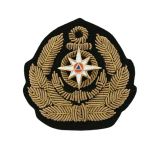 09010045 Кокарда канит лат ГИМС (по обр ФМ-305) с мет вставкой