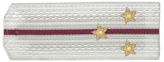 КПГ-24-5 погоны белые крап.пр.ст/лейт-т 