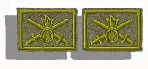 9-10-1л Петлички вышитые ол.сукно, оливк. нитка СУХОПУТНЫЕ В-КА 25 х 35 мм