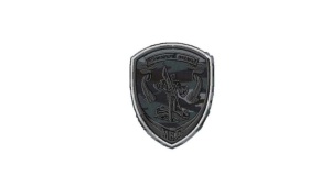 4-24-2 Шеврон вышит. СОТРУДНИКИ ПОДРАЗДЕЛЕНИЙ ЦЕНТРАЛЬНОГО АППАРАТА МВД РФ (сер. камыш) мал.