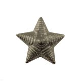 08040013 Звезда пласт 20 мм СА (рифл) защ 