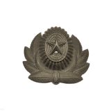 08010003 Кокарда пласт РА бол защ 