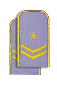 Погоны РЖД голуб(2гал+1зв.)РЖД 5-9